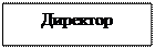 Надпись: Директор