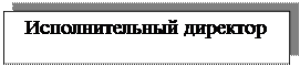Надпись: Исполнительный директор