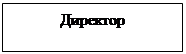Надпись: Директор