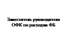 Надпись:
Заместитель руководителя
ОФК по расходам ФБ