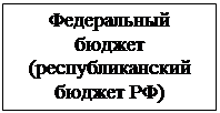 Надпись: Федеральный бюджет (республиканский бюджет РФ)