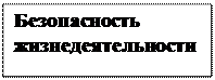 Надпись: Безопасность
жизнедеятельности
