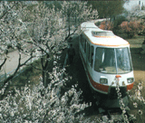 Детская Железная дорога