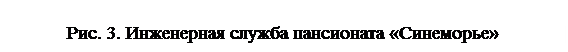 Надпись: Рис. 3. Инженерная служба пансионата «Синеморье»