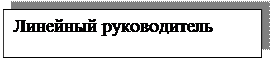 Надпись: Линейный руководитель