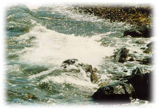 Японское море