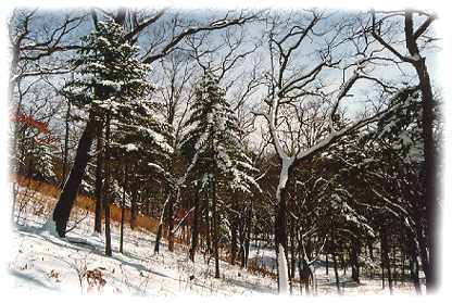 Зима в Приморье