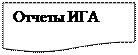 Блок-схема: документ: Отчеты ИГА

