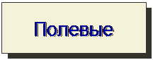Надпись: Полевые
