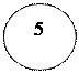 Овал: 5