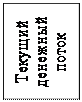 Надпись: Текущий денежный поток