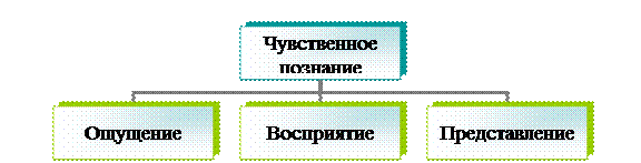 Организационная диаграмма