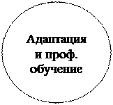 Овал: Адаптация и проф. обучение