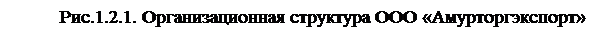 Надпись: Рис.1.2.1. Организационная структура ООО «Амурторгэкс-порт»

