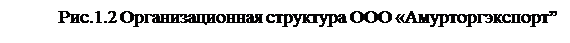 Надпись: Рис.1.2 Организационная структура ООО «Амурторгэкс-порт”

