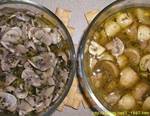 МАРИНОВАННЫЕ ГРИБЫ С ЛУКОВЫМИ КОЛЬЦАМИ