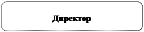 Скругленный прямоугольник: Директор
