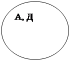 Овал: А, Д