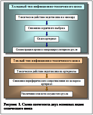 Надпись:  
Рисунок 4. Схема патогенеза двух основных видов сепического шока

