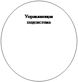 Овал: Управляющая подсистема