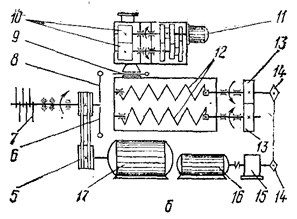Development of technology of crude smoked sausage