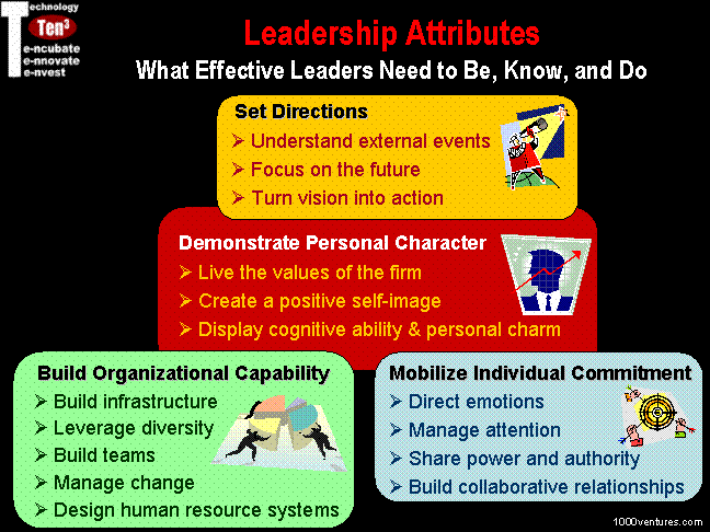 Business organization