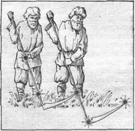 Constellations of the star sky