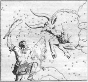 Constellations of the star sky